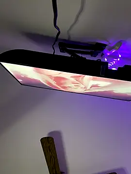 Luck  090 online show from November 2025 01:39:01 AM