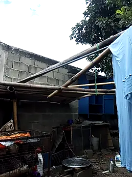 MackMacKenzie online show from December 2025 05:20:01 PM