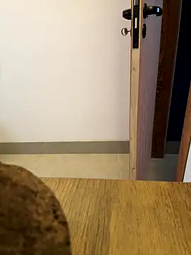 oconnnel online show from December 2025 05:40:02 PM