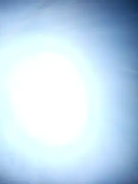 chinoaf online show from December 2025 09:59:01 AM