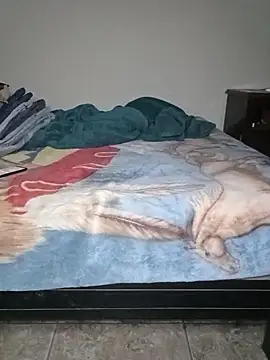 Snapshot of HomHot47 chatting on November 2025 05:39:01 AM HomHot47 online show from November 2025 05:39:01 AM