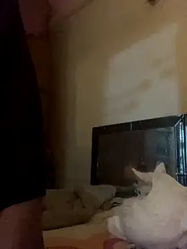 Snapshot of Kajal-Shemale69 chatting on November 2025 07:36:02 AM Kajal-Shemale69 online show from November 2025 07:36:02 AM