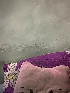 Nh64 online show from February 2026 12:25:01 AM