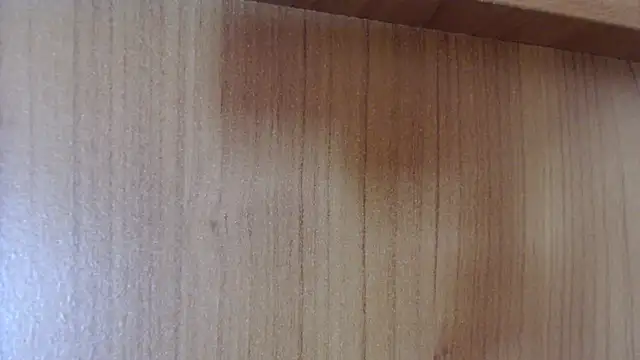 Pamela-StripX online show from December 2025 09:08:01 PM