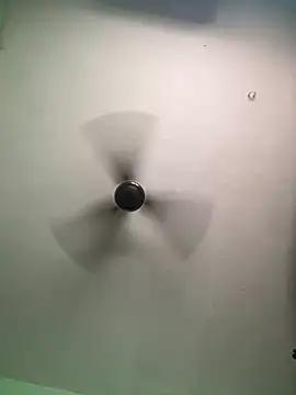 Snapshot of tamil_Nila_ chatting on September 2025 09:53:02 AM tamil Nila  online show from September 2025 09:53:02 AM