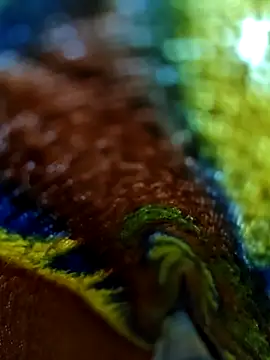 Snapshot of Chanti8096 chatting on December 2025 05:43:02 PM Chanti8096 online show from December 2025 05:43:02 PM