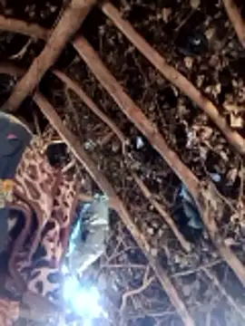 Hot rachnasexy online show from March 2026 05:55:01 AM