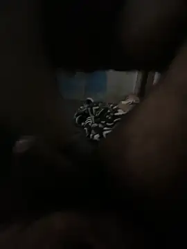 FromVnz online show from November 2025 12:37:01 PM