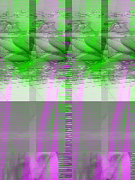 couple2612 online show from October 2025 09:39:02 AM