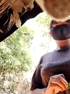 Snapshot of Janvi_Jaitly chatting on November 2025 09:15:02 AM Janvi Jaitly online show from November 2025 09:15:02 AM