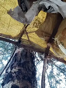 Snapshot of Janvi_Jaitly chatting on November 2025 01:16:02 AM Janvi Jaitly online show from November 2025 01:16:02 AM