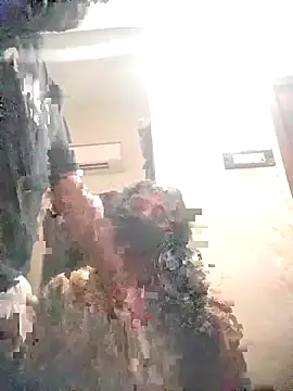 nishatelugu1 online show from September 2025 05:36:02 PM