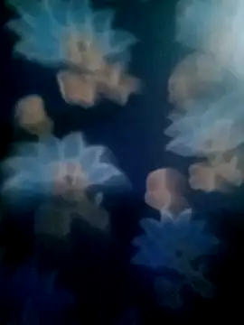 Snapshot of your_favourite_bhabhi chatting on November 2025 01:46:01 PM your favourite bhabhi online show from November 2025 01:46:01 PM