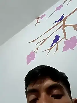 DavidVergagigante420 online show from October 2025 05:20:02 AM