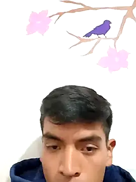 DavidVergagigante420 online show from November 2025 07:36:02 PM