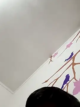 DavidVergagigante420 online show from February 2026 08:02:02 AM