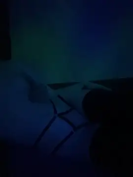 Snapshot of gjollyros chatting on February 2026 08:16:01 PM gjollyros online show from February 2026 08:16:01 PM