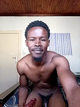 donchico0 online show from November 2025 07:41:02 AM