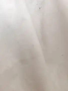 Snapshot of mecchauddu14 chatting on September 2025 12:37:02 PM mecchauddu14 online show from September 2025 12:37:02 PM