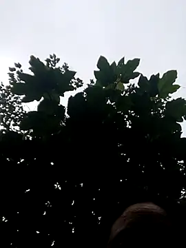 kemtuoi-sex online show from October 2025 11:05:02 PM