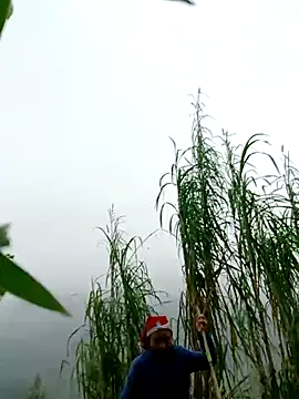 kemtuoi-sex online show from April 2026 02:56:01 AM