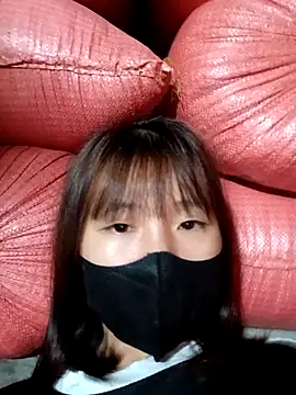 kata-00 online show from October 2025 12:14:01 PM