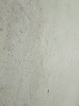 kata-00 online show from March 2026 04:18:01 AM