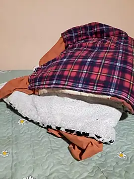 Snapshot of Ansiasex chatting on November 2025 02:17:02 AM Ansiasex online show from November 2025 02:17:02 AM