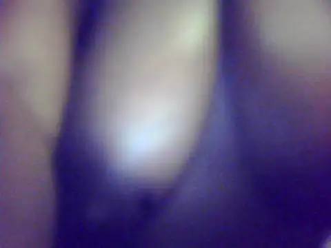 Barbie niela online show from September 2025 02:42:02 PM