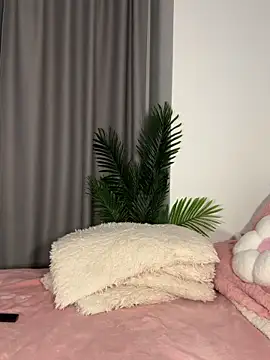 Andrestarr online show from February 2026 06:44:02 PM