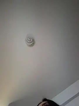 Andrestarr online show from March 2026 04:01:01 PM