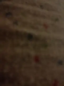 lolo699 online show from December 2025 01:00:02 AM