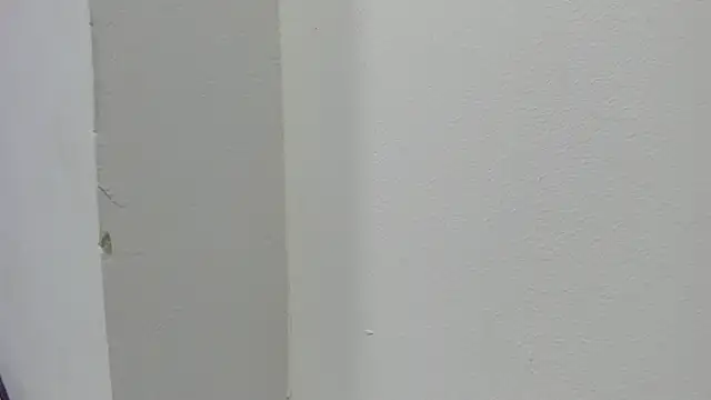 abbiecollins js online show from March 2026 04:23:01 AM