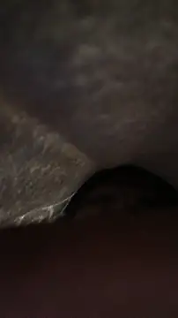 panganamno online show from November 2025 05:09:01 PM