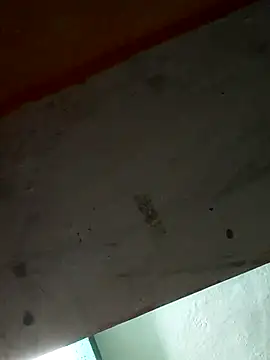 Sort xr12 online show from December 2025 02:56:02 PM