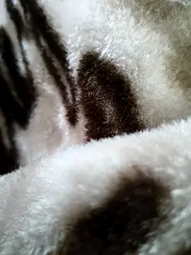 bold guy 1234 online show from December 2025 05:35:01 AM