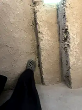 Prtkkk online show from November 2025 03:50:01 AM