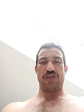 zamir adam online show from November 2025 03:24:02 PM