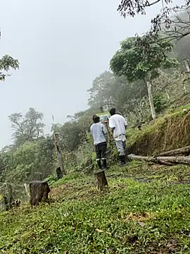 Snapshot of sky-wolves chatting on October 2025 03:43:01 PM sky-wolves online show from October 2025 03:43:01 PM