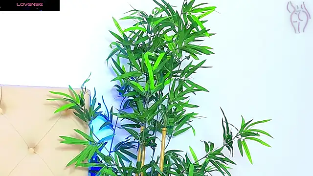 Snapshot of CoraVex chatting on September 2025 06:03:01 AM CoraVex online show from September 2025 06:03:01 AM