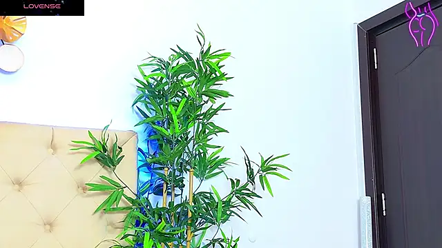 Snapshot of CoraVex chatting on September 2025 04:25:01 AM CoraVex online show from September 2025 04:25:01 AM