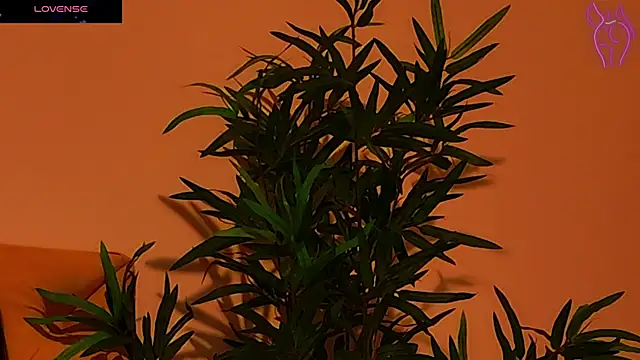 Snapshot of CoraVex chatting on September 2025 04:27:01 AM CoraVex online show from September 2025 04:27:01 AM