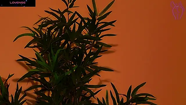 Snapshot of CoraVex chatting on September 2025 04:27:02 AM CoraVex online show from September 2025 04:27:02 AM