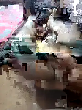 Snapshot of UnbowedAgronomy chatting on February 2026 10:50:01 PM UnbowedAgronomy online show from February 2026 10:50:01 PM