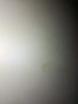 Snapshot of BigD_Mikee chatting on December 2025 04:46:02 PM BigD Mikee online show from December 2025 04:46:02 PM