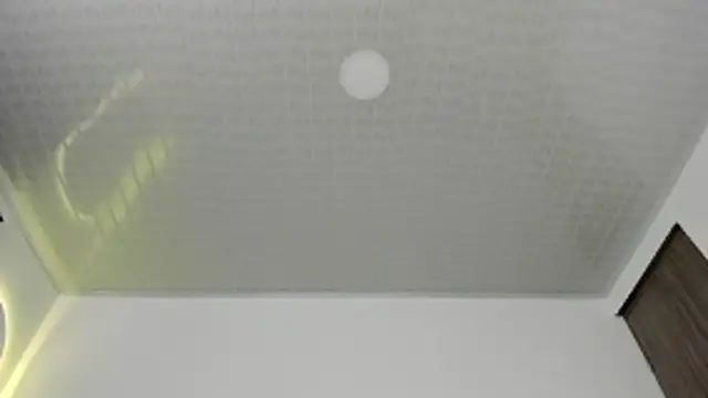 brandy h9 online show from January 2026 03:11:01 AM