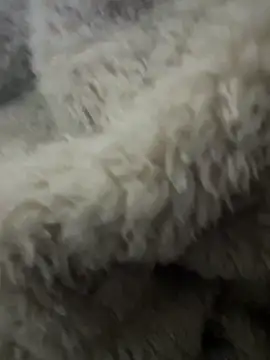 Snapshot of futsam653 chatting on November 2025 09:21:01 AM futsam653 online show from November 2025 09:21:01 AM