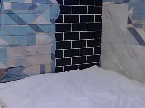 Newt4U online show from November 2025 10:04:02 AM