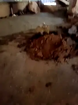 callistra online show from January 2026 06:51:02 AM