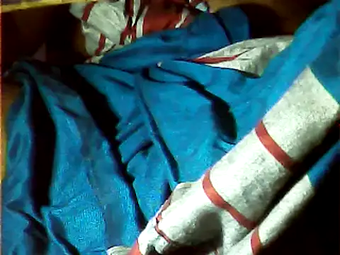 Snapshot of DailyRoadma chatting on October 2025 04:04:01 PM DailyRoadma online show from October 2025 04:04:01 PM